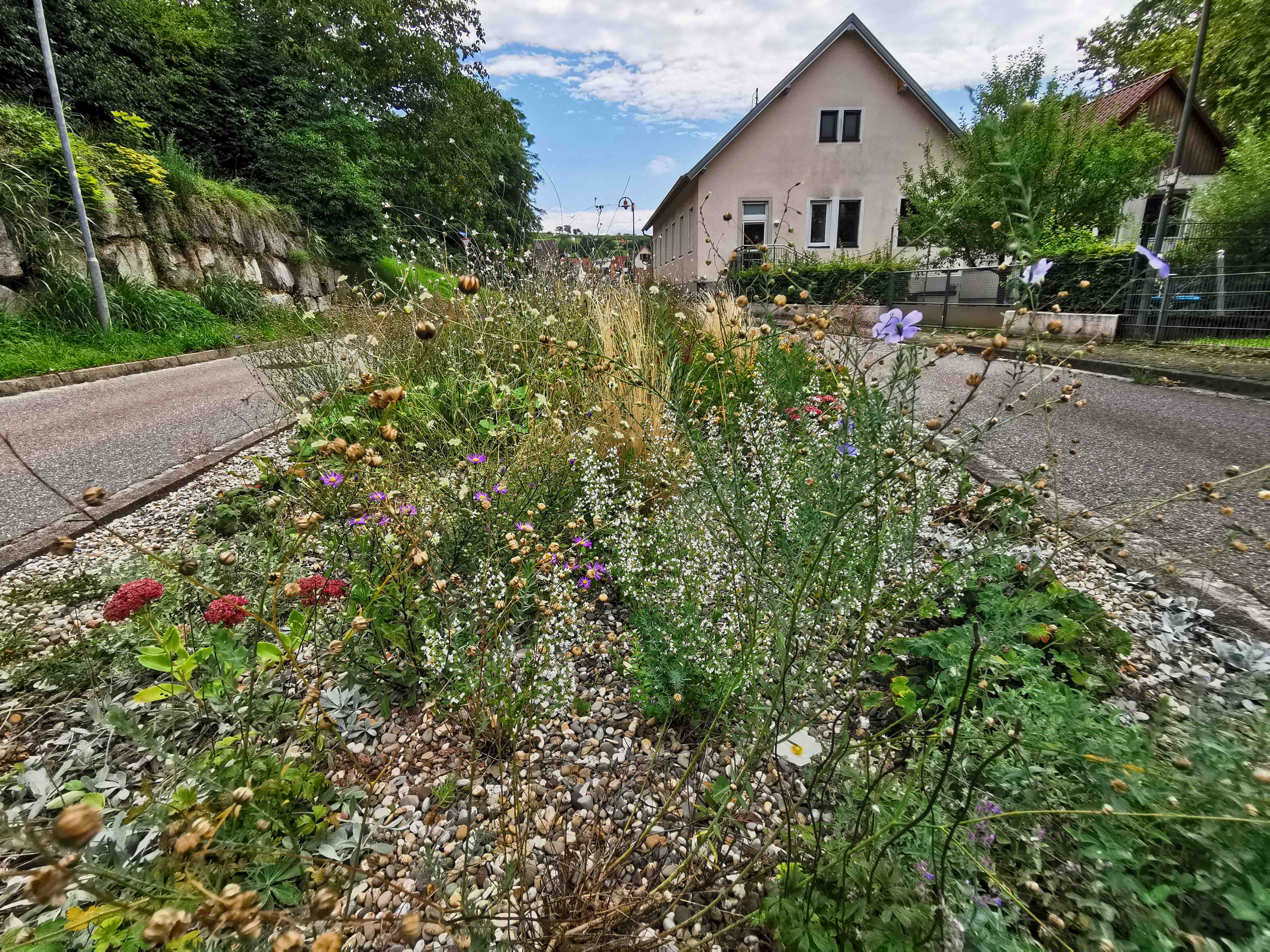 Das Bild zeigt die Verkehrsinsel vor der KiTa Bombach im August 2025